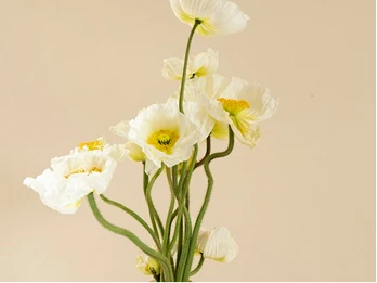 White poppies in an amber glass vase — a compact, delicate arrangement