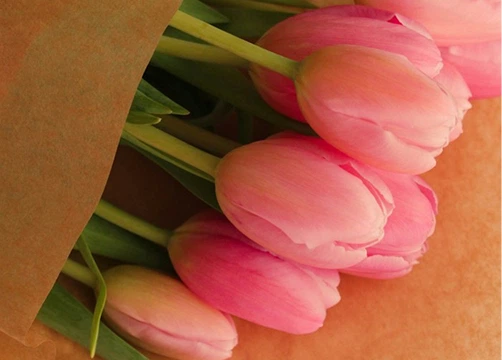 Pink tulips wrapped in brown paper for flower delivery in Esbjerg